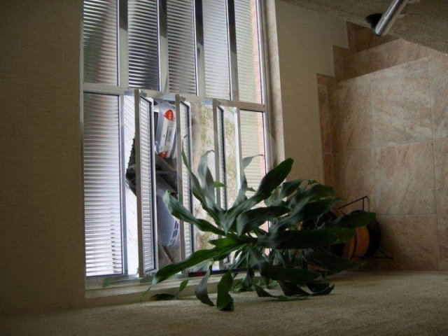 Apartamento à venda com 3 quartos em Tucuruvi, São Paulo, SP