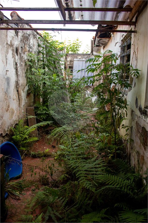 Terreno à venda com 3 quartos no condomínio Terreno com Casa, São Paulo - SP