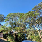 Terreno à venda no condomínio Alpes da Cantareira, Mairiporã - SP
