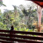 Casa à venda com 4 quartos, sendo 1 suíte, em Serra da Cantareira, Mairiporã, SP