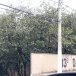 Apartamento à venda com 2 quartos em Jardim Celeste, São Paulo, SP