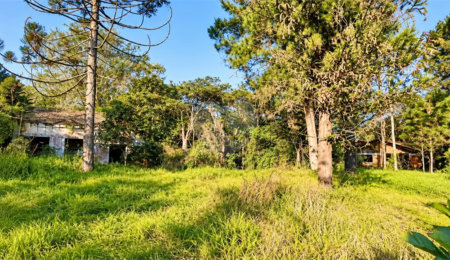 Terreno à venda em Interlagos, São Paulo, SP