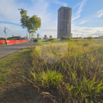 Terreno para alugar no condomínio Residendencial Vila Inglesa, Indaiatuba - SP