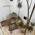 Casa com 6 dormitórios para alugar, 1000 m² por R$ 18.000,00/mês - Morro Santa Terezinha - Santos/SP