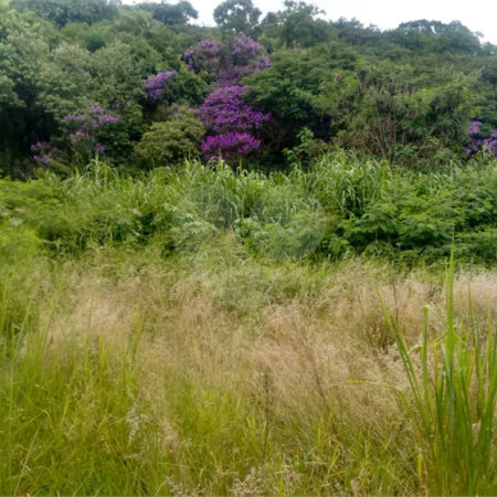 Loteamento à venda em Jardim Paulista, Atibaia, SP