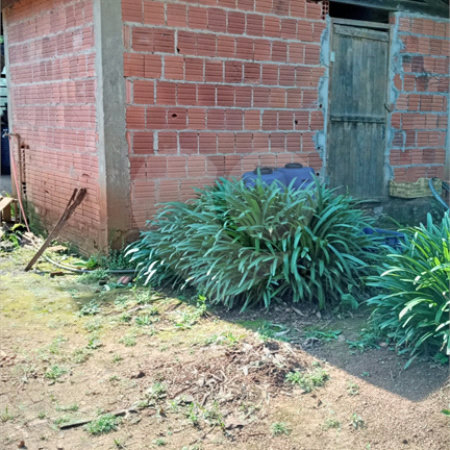 Ribeirão Grande - Bairro ferreira dos Matos - Sítio de 30.000 metros - R$ 600.000,00
