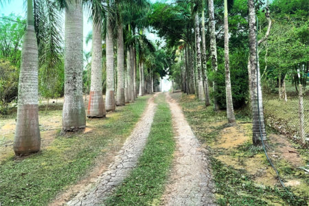 Sítio à venda com 4 suítes em Loteamento Vale das Flores, Atibaia, SP