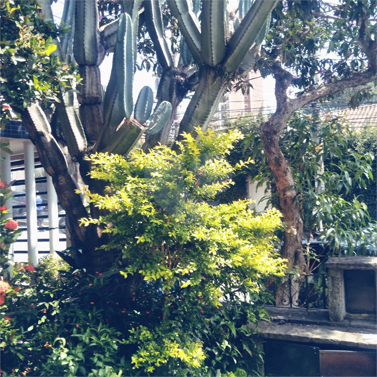Sobrado à venda com 3 quartos em Jardim São Paulo(zona Norte), São Paulo, SP