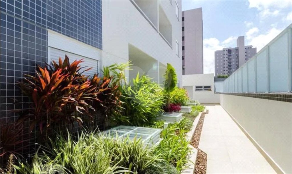 Apartamento para alugar com 2 quartos em Baeta Neves, São Bernardo do Campo, SP