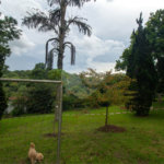 Chácara à venda com 3 quartos em Alpes Paulista (mailasqui), São Roque, SP