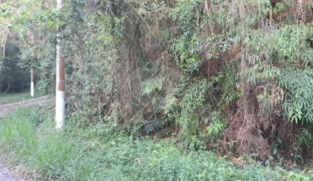 Terreno à venda no condomínio Associação Reserva das Hortênsias, Mairiporã - SP