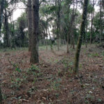 Terreno à venda em Serra da Cantareira, Mairiporã, SP