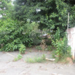 Terreno à venda em Pirituba, São Paulo, SP