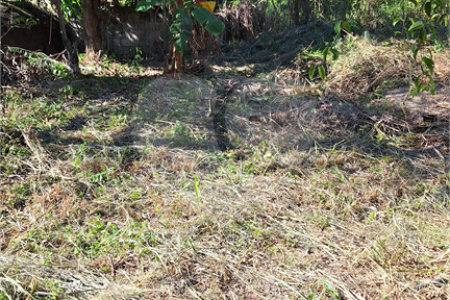Terreno à venda em Guaratiba, Rio de Janeiro, RJ