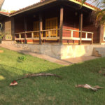 Casa à venda com 3 quartos, sendo 1 suíte, no condomínio Zuleika Jabour, Salto - SP