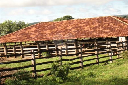 Fazenda à venda com 2 quartos em Canabrava, João Pinheiro, MG