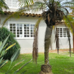 Casa à venda com 4 suítes em Praia Rasa, Armação dos Búzios, RJ
