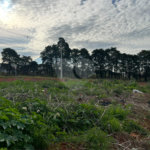 Terreno à venda em Vila Nastri, Itapetininga, SP