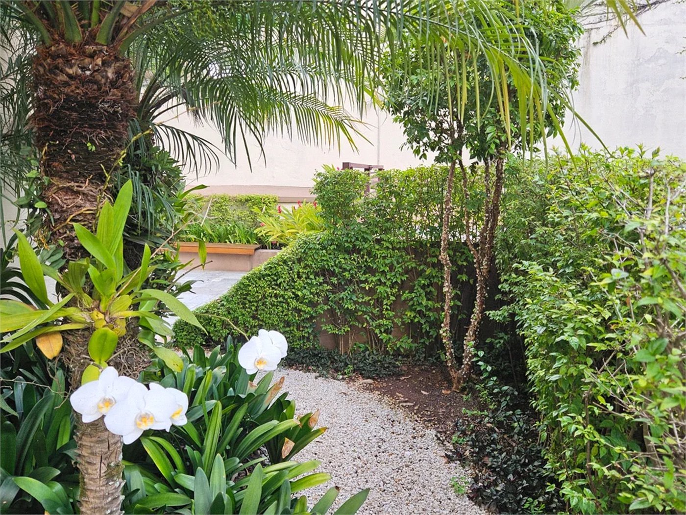 Apartamento à venda com 3 quartos, sendo 2 suítes, em Jardim Ampliação, São Paulo, SP