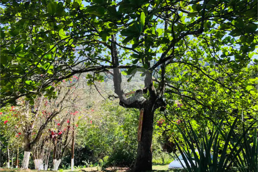 Chácara à venda com 7 quartos, sendo 3 suítes, em Parque Caetê, Bragança Paulista, SP