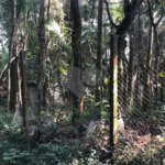Terreno à venda em Roseira, Mairiporã, SP