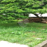 Casa à venda com 2 quartos em Jardim Peri Peri, São Paulo, SP