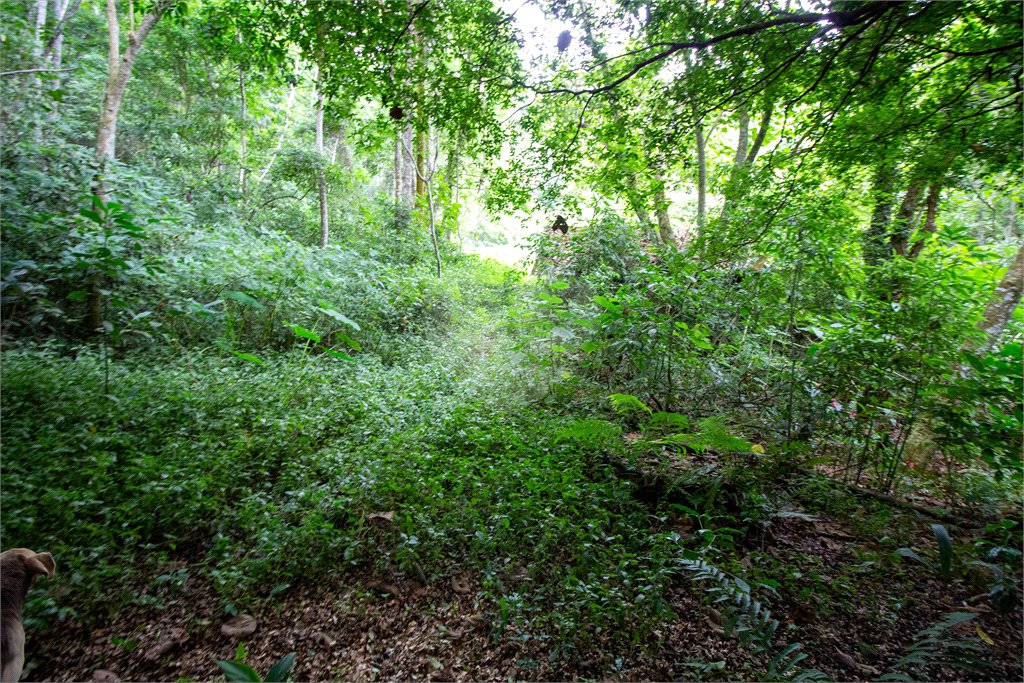 Sítio à venda com 3 quartos, sendo 1 suíte, no Centro (são João Novo), São Roque, SP