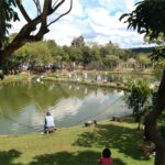 Terreno à venda com 4 quartos no condomínio Recanto dos Passaros, São Miguel Arcanjo - SP