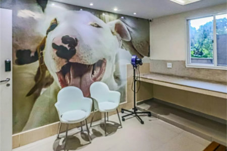 Apartamento à venda com 4 quartos, sendo 1 suíte, em Vila Polopoli, São Paulo, SP