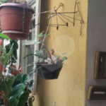 Sobrado à venda com 3 quartos em Santa Teresinha, São Paulo, SP