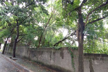Terreno à venda em Vila Suzana, São Paulo, SP