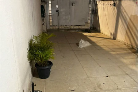 Sobrado à venda com 3 quartos, sendo 1 suíte,  em Parque Ipê, São Paulo, SP