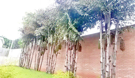 Terreno à venda no condomínio Estrada do Corisco,4929, São Paulo - SP
