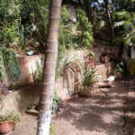 Prédio à venda com 3 quartos em Vila Nova Cachoeirinha, São Paulo, SP