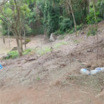 Loteamento à venda em Serra da Cantareira, São Paulo, SP