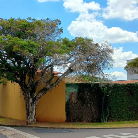 Sobrado com 3 quartos à venda com área gourmet completa e 5 vagas de garagem – Santa Marta - São Carlos/SP