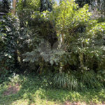 Terreno à venda no condomínio Sausalito, Mairiporã - SP