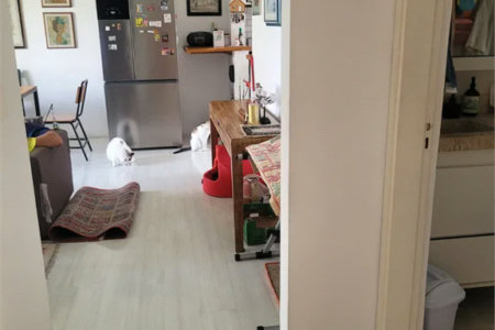 Apartamento à venda com 2 quartos em Jardim Paulistano, São Paulo, SP