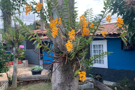 Casa à venda com 3 quartos, sendo 1 suíte, no condomínio Parque da Fazenda, Itatiba - SP