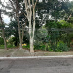 Casa à venda com 3 quartos, sendo 1 suíte, em Vila Guilherme, São Paulo, SP