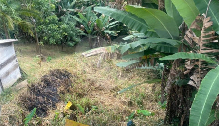 Terreno à venda em Barreiro, Mairiporã, SP