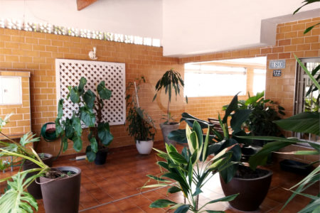 Casa Térrea à venda com 3 quartos, sendo 1 suíte, em Jardim Marisa, São Paulo, SP