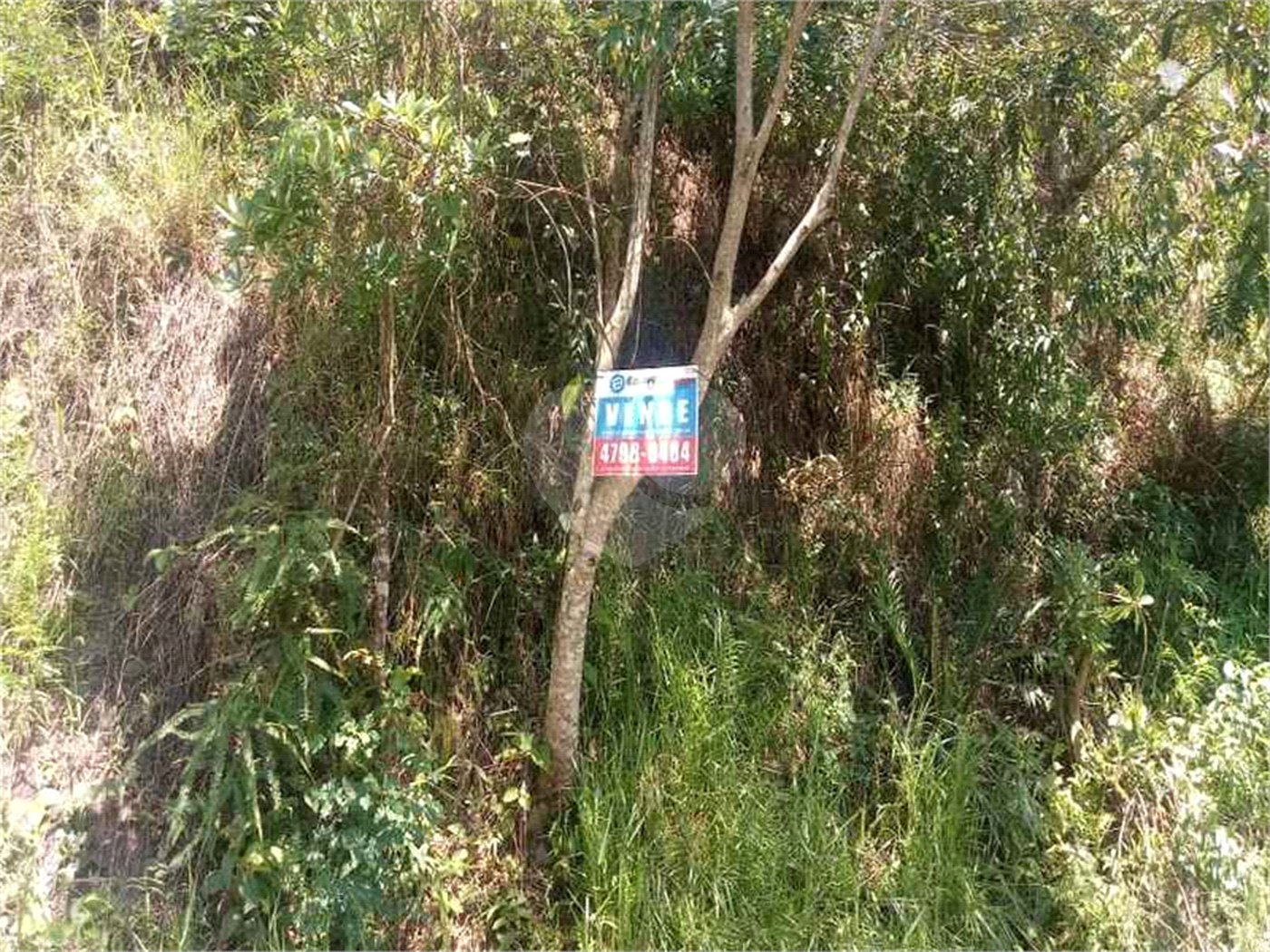 Terreno à venda em Vila São Paulo, Mogi das Cruzes, SP