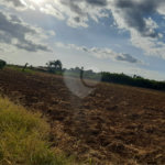 Área de Terra à venda em Nova Trieste, Jarinu, SP