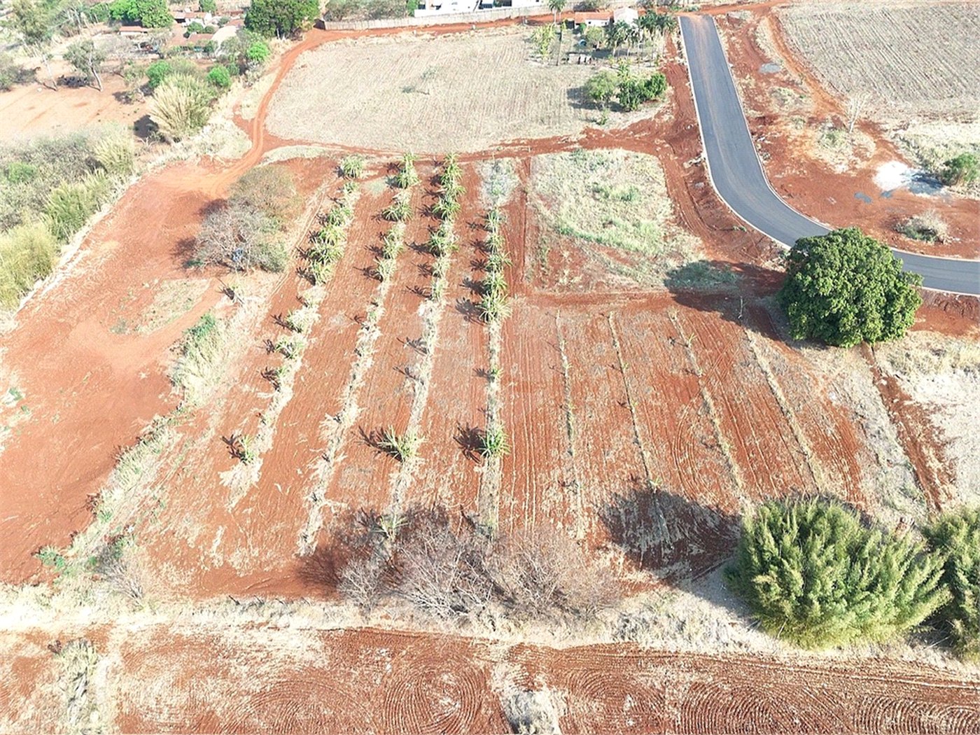 Terreno à venda em Vila do Golf, Ribeirão Preto, SP