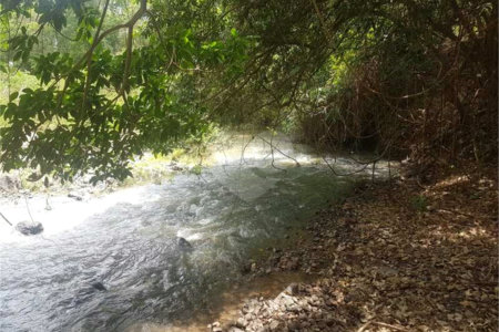 Fazenda à venda com 2 quartos em Canabrava, João Pinheiro, MG