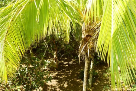 Casa Residencial à venda, Balneário Marambaia, Itanhaém - CA0135.