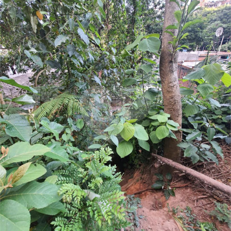 Loteamento à venda em Jardim Amália, São Paulo, SP
