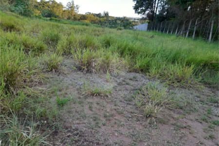 Terreno à venda em Jardim Paraíso do Tanque, Atibaia, SP
