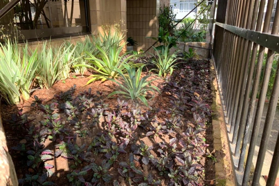 Apartamento à venda com 1 suíte em Enseada, Guarujá, SP